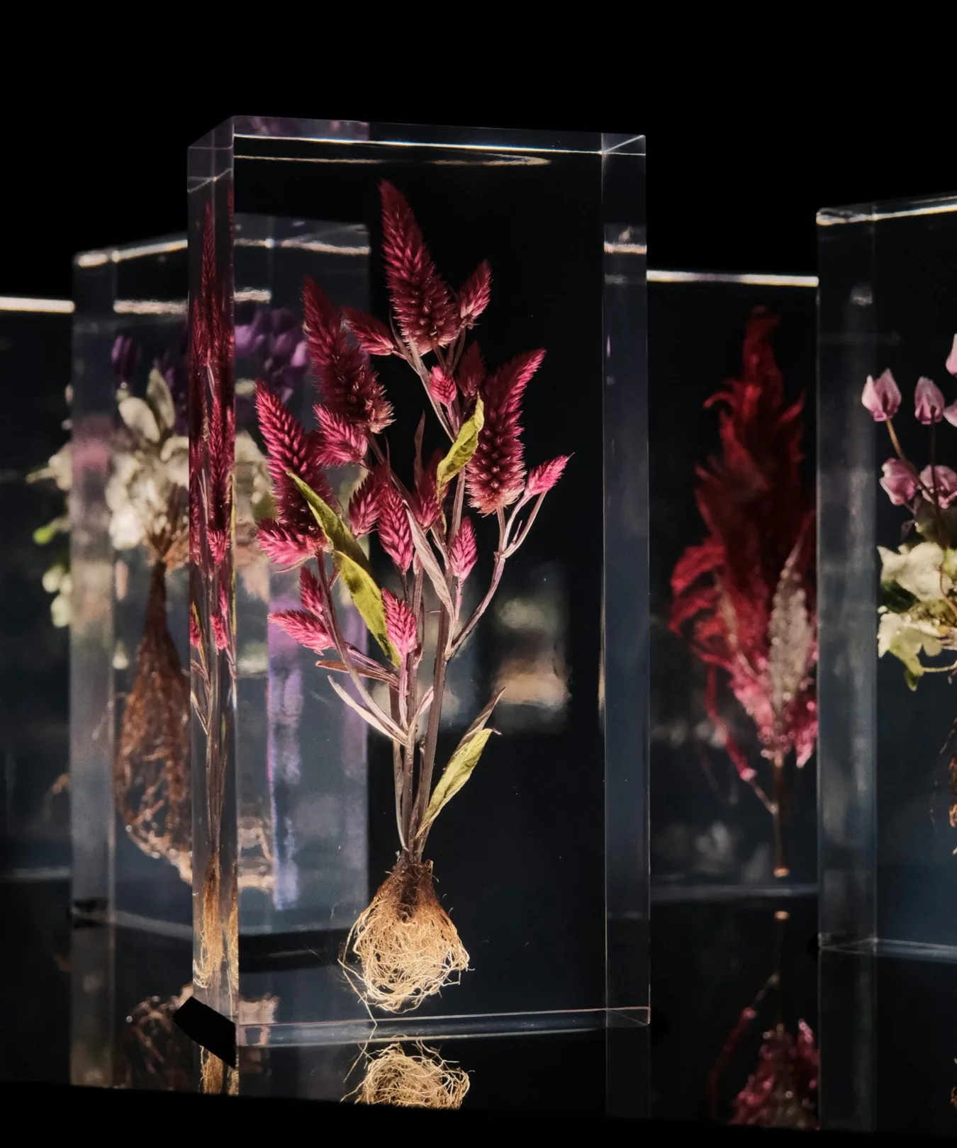 Clear acrylic display blocks with polished transparent edges, demonstrating precision acrylic fabrication.