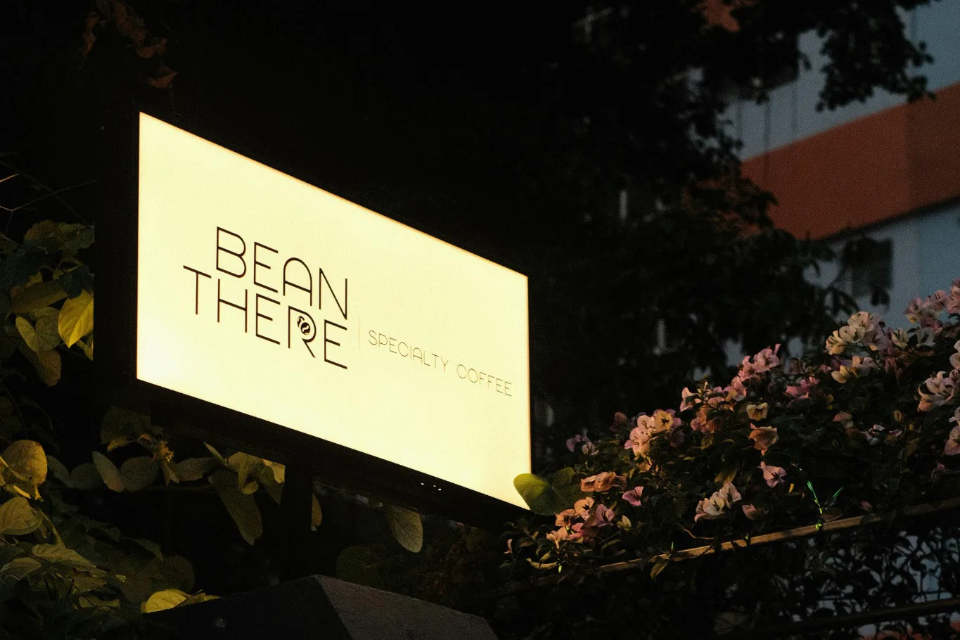 Illuminated specialty coffee lightbox sign among flowering planting at night.